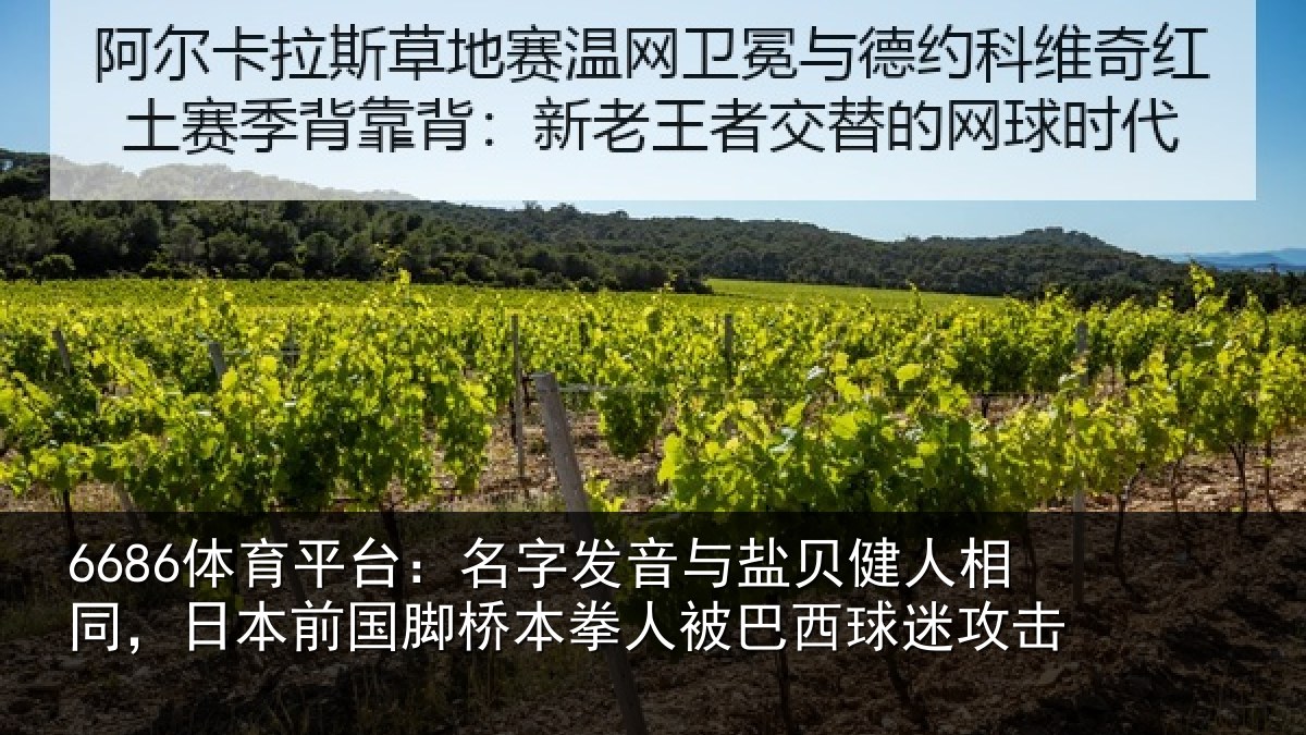6686体育平台：名字发音与盐贝健人相同，日本前国脚桥本拳人被巴西球迷攻击