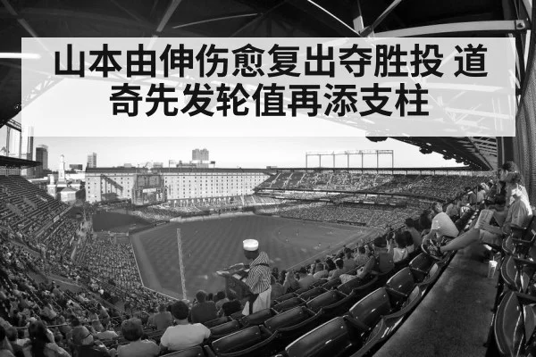 baseball stadium crowd