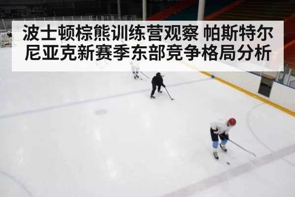 波士顿棕熊训练营观察 帕斯特尔尼亚克新赛季东部竞争格局分析