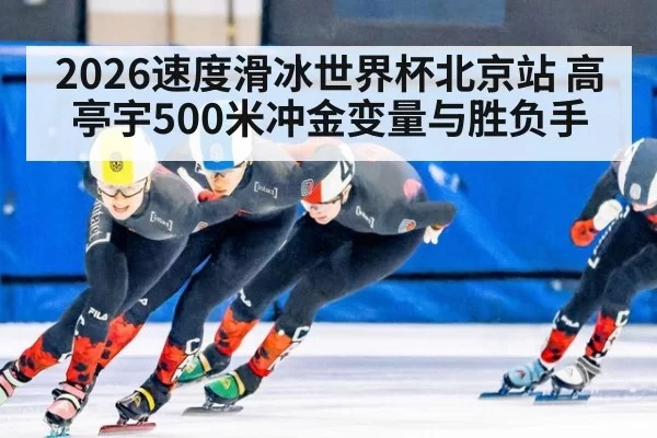 2026速度滑冰世界杯北京站 高亭宇500米冲金变量与胜负手